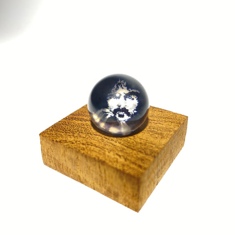 Andrew J Tomafsky Frank Zappa Milli Marble With Wooden Stand - Tha Bong Shop 