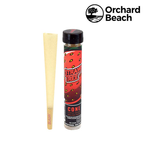 ORCHARD BEACH TERPENE INFUSED RAW CONES – STRAWBERRY TREE